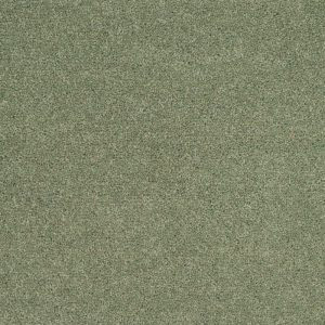 Carpet swatch 02