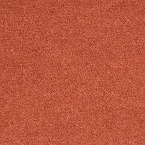 Carpet swatch 05