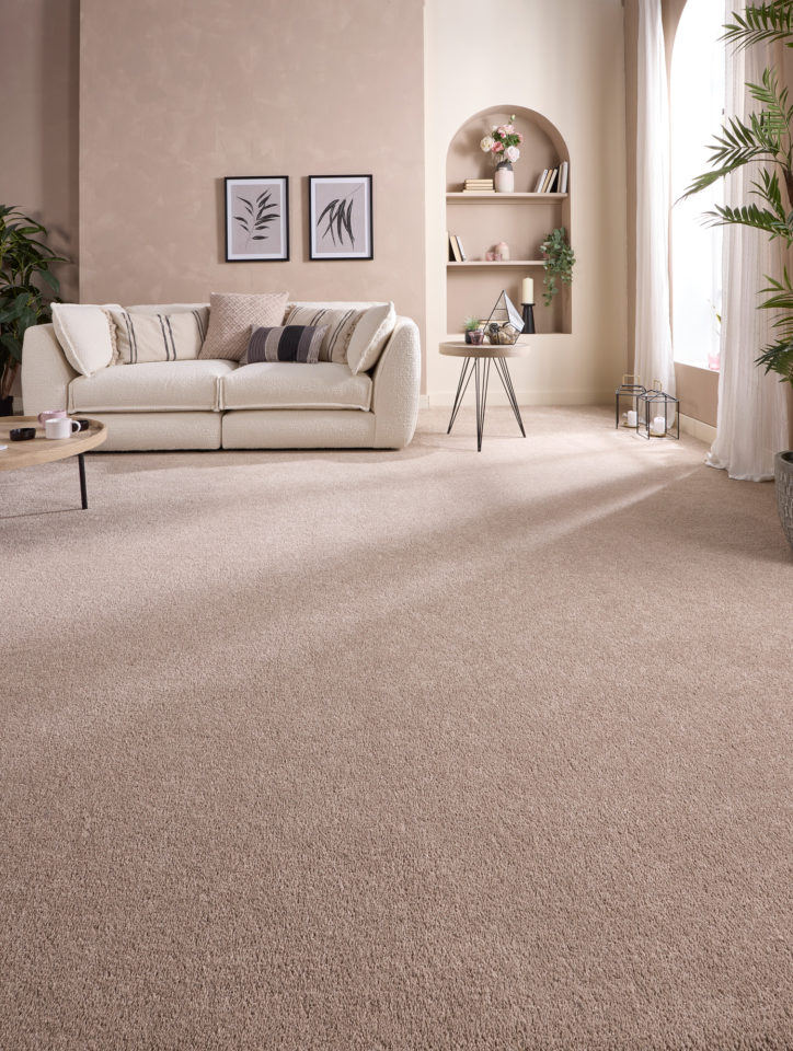 Velvet Dreams Mouseback 8